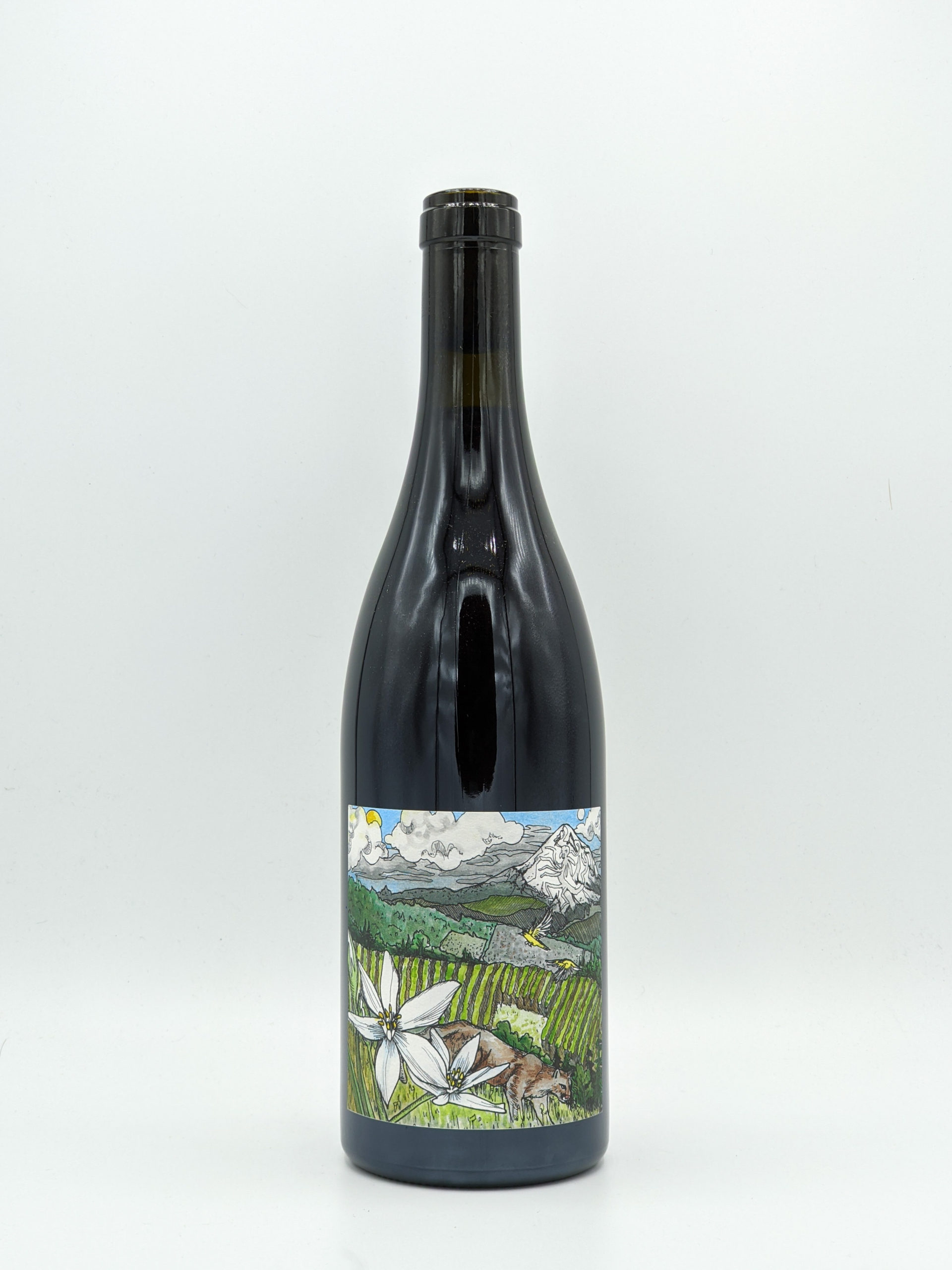 Kelley Fox Pinot Noir Mirabai 2022