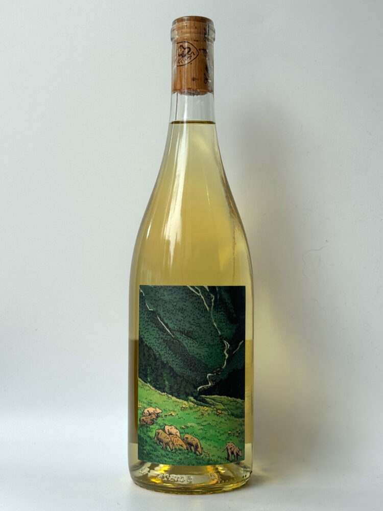 Kelley Fox Gruner Veltliner 2023