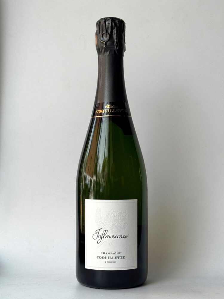 Stephane Coquillette Inflorescence NV