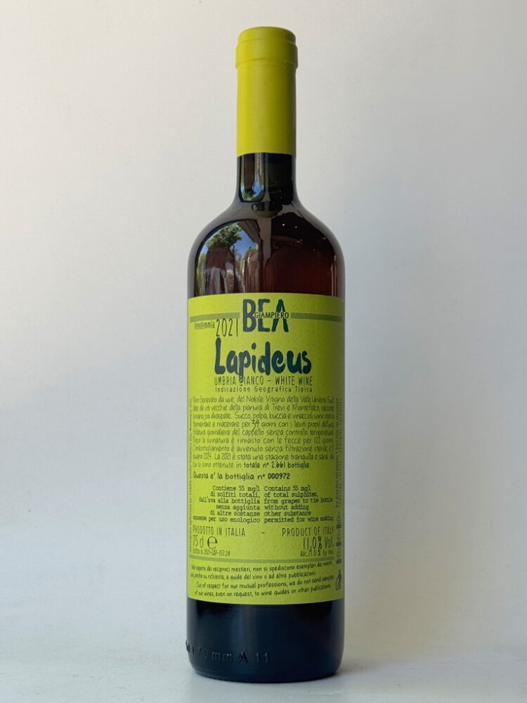 Paolo Bea Lapideus 2021