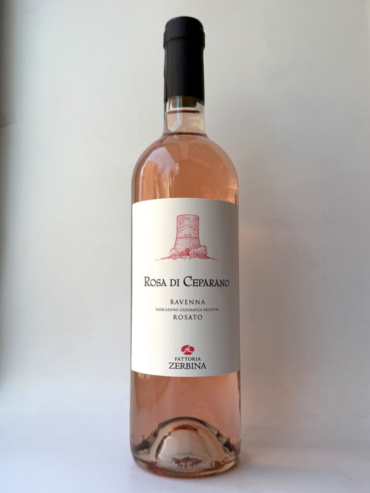 Rosa di Ceparano 2025